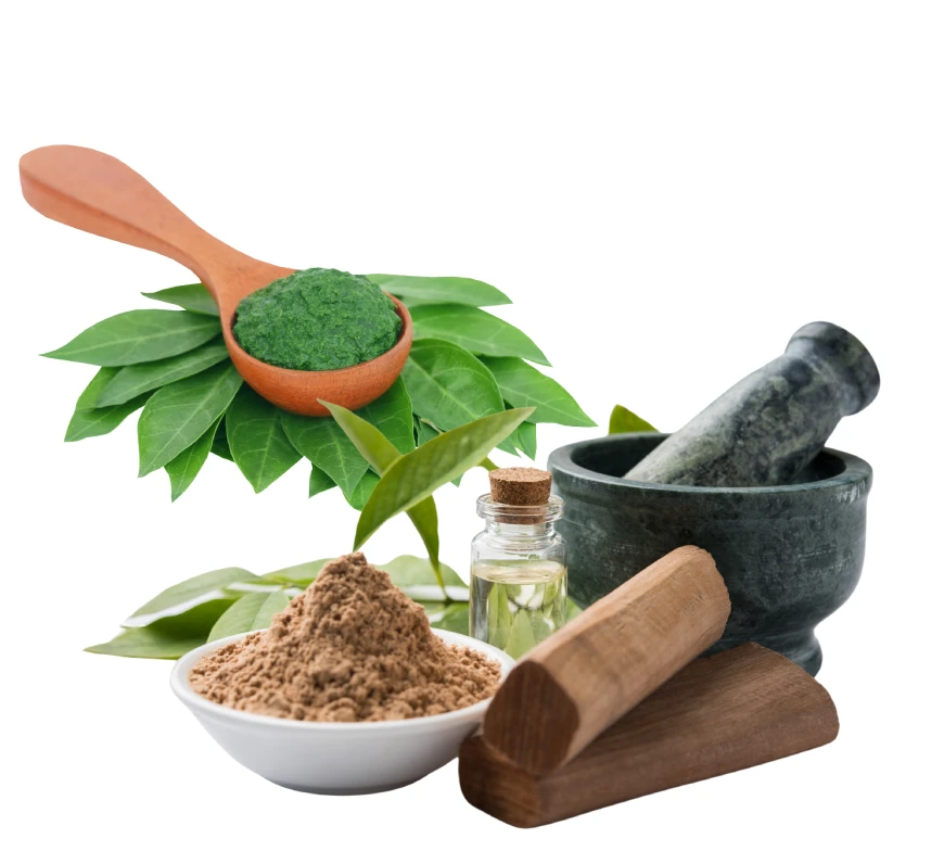 Top 200 Mehndi Quotes in Just 1 Minute — Easy If You Do It Smart 2 An arrangement of natural Mehndi paste ingredients including a wooden spoon with green henna paste on fresh leaves, a bowl of dried henna powder, essential oil in a small glass bottle, and a stone mortar with pestle, all placed on a white background.