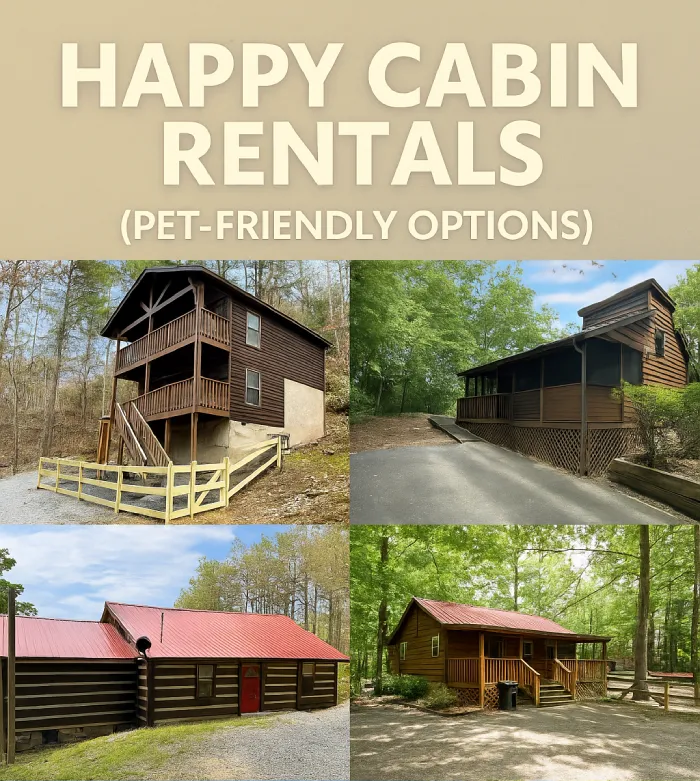 Affordable and Cosy Cabins in Pigeon Forge You’ll Love 8 Four cozy pet-friendly cabin rentals in wooded settings, perfect for family vacations and nature getaways.